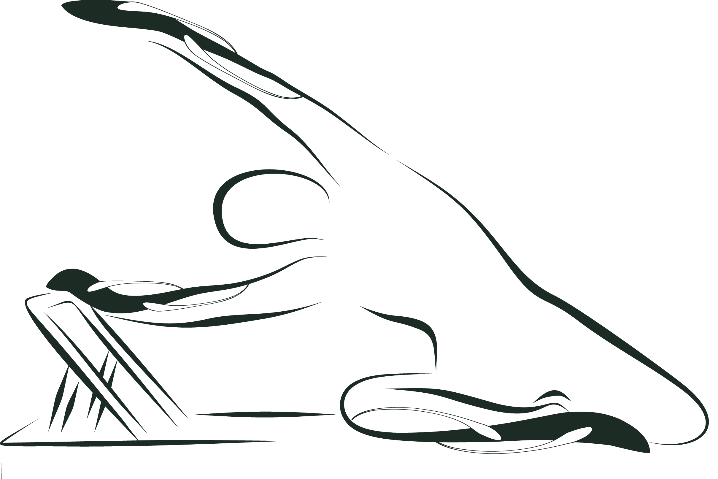 Rogue Valley Pilates